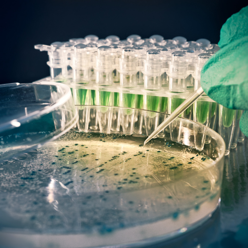 Cabinas de flujo laminar