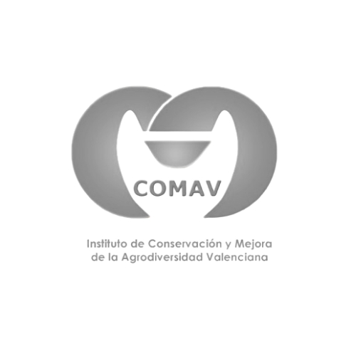 COMAV