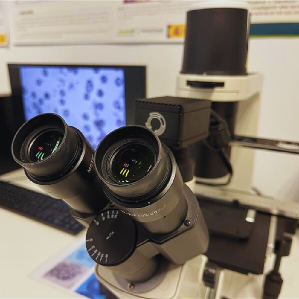 Microscopía óptica